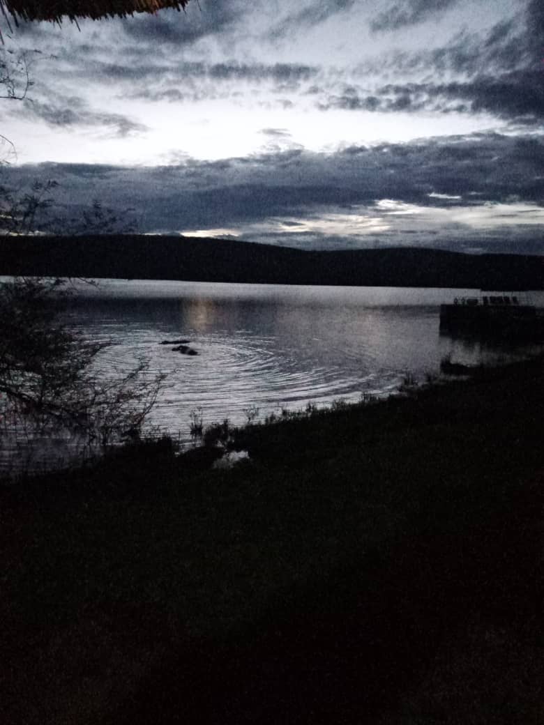 Lake view at dusk on a game park trip